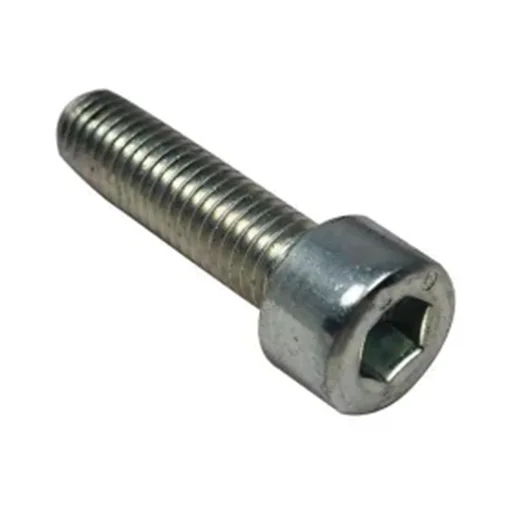 Stainless Steel 317L Allen Cap Screw